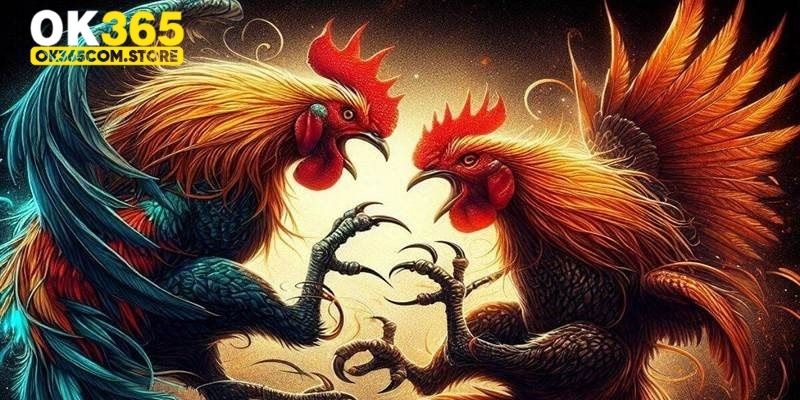 Lựa chọn chiến kê phù hợp trong đá gà Thomo Lựa chọn chiến kê phù hợp trong đá gà Thomo